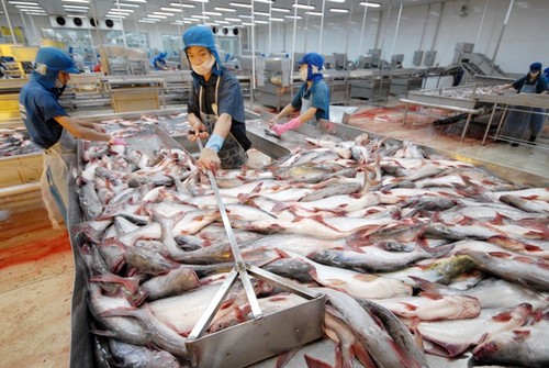Вьетнамские морепродукты пользуются спросом на рынке Австралии - ảnh 1
